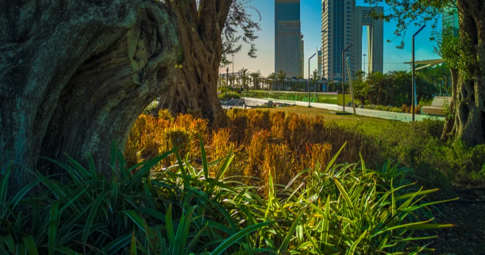 Top 10 Tourist Attractions in Kuwait You Shouldn’t Miss